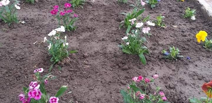 🌺 LA PLAZA SE PREPARA PARA LA TEMPORADA INVIERNO/PRIMAVERA 🌷