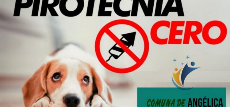 🙏LE DECIMOS NO, A LA PIROTECNIA 🙏