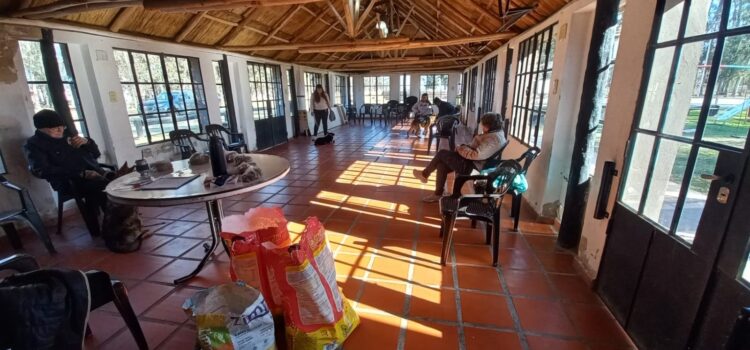 LA COMUNA INFORMA QUE SE REALIZARON 70 CASTRACIONES A ANIMALES DE COMPAÑIA
