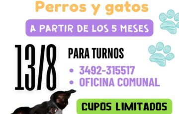 CASTRACIONES GRATUITAS