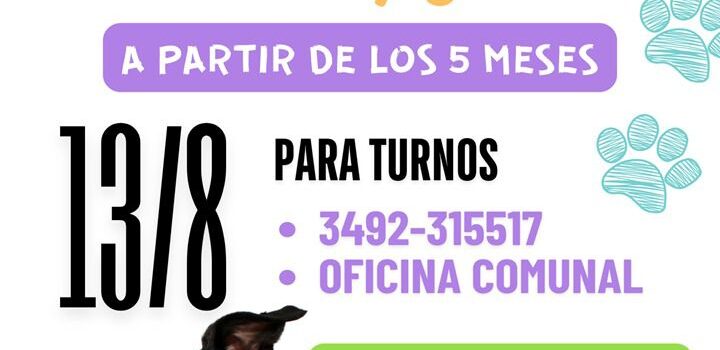 CASTRACIONES GRATUITAS