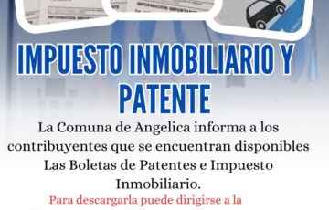 IMPUESTO INMOBILIARIO Y PATENTE
